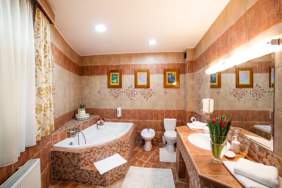Suite | Bathroom | Free toiletries, hair dryer, towels