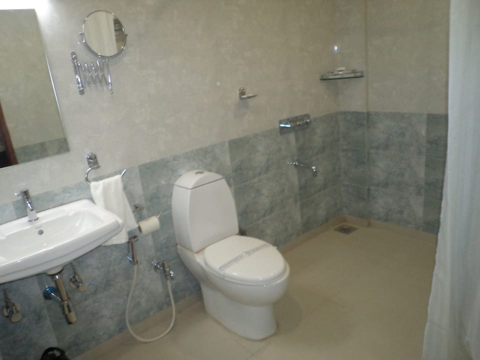 Deluxe Double Room | Bathroom | Shower, free toiletries, towels