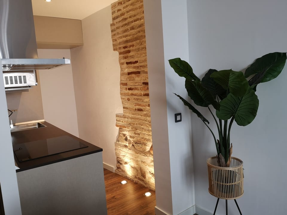 Aparta-suite El Arco | Private kitchen | Full-size fridge, cookware/dishes/utensils