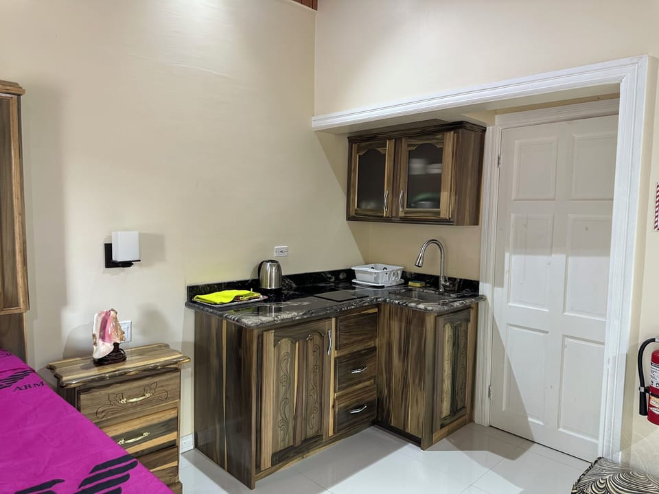 Deluxe Apartment | Private kitchen | Cleaning supplies
