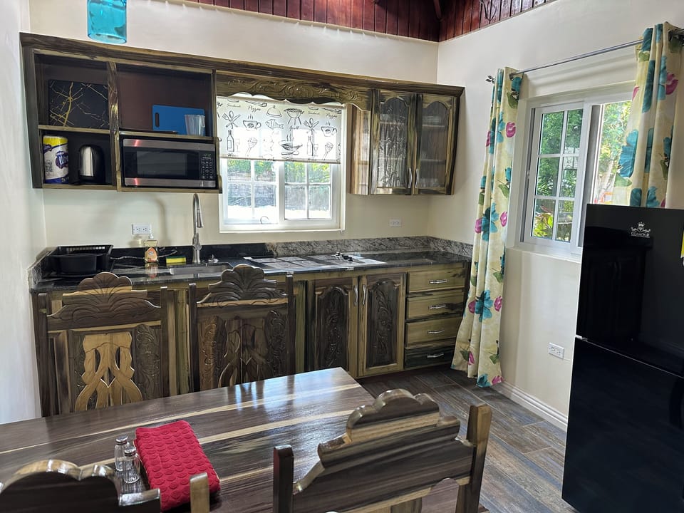 Premium Studio Suite, 1 King Bed, Hot Tub, Ground Floor | Private kitchen | Cleaning supplies
