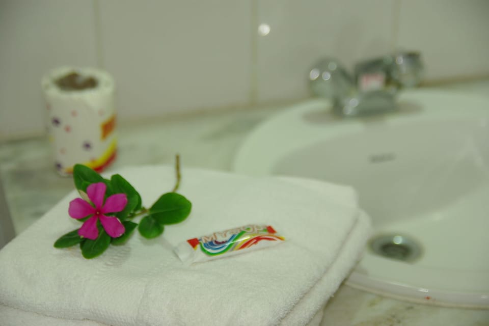 Combined shower/tub, jetted tub, hair dryer, slippers