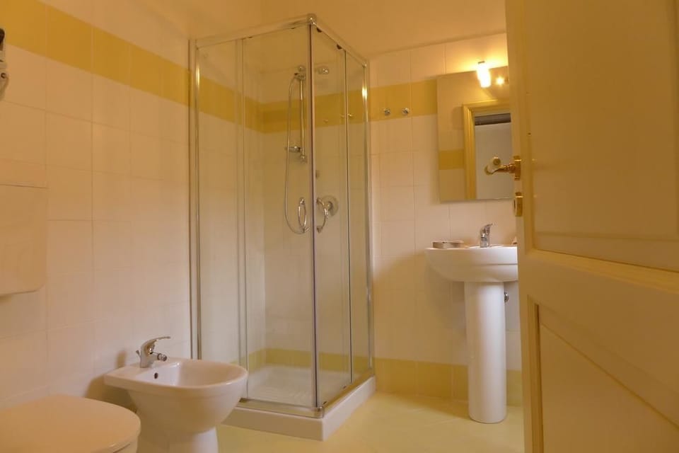 Shower, free toiletries, hair dryer, bidet