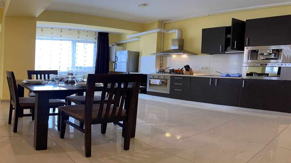 Premium Apartment | Private kitchen | Full-size fridge, microwave, oven, stovetop