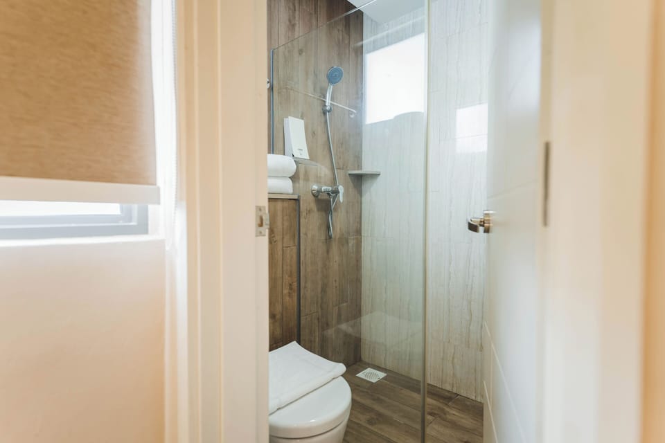 Deluxe Double Room | Bathroom | Shower, free toiletries, hair dryer, towels