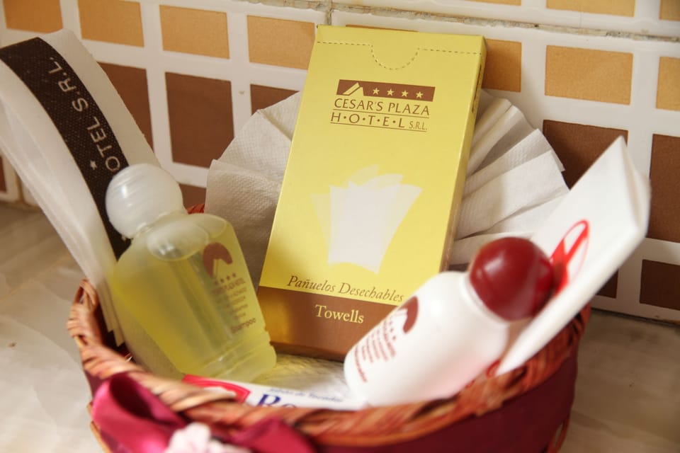 Single Room | Bathroom | Combined shower/tub, free toiletries, hair dryer, towels