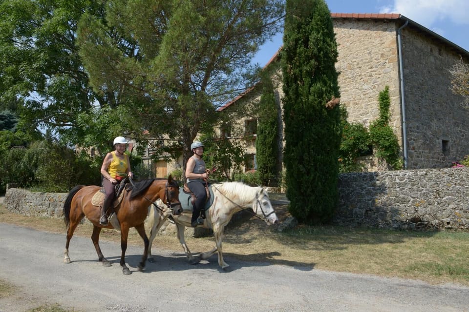 Atelier du Philosophe Bed and Breakfast in Provence