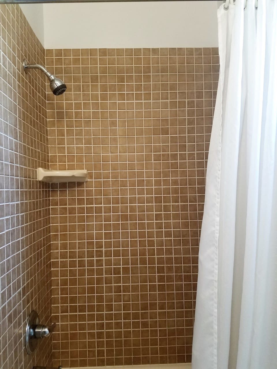 Standard Room, 1 Queen Bed, Refrigerator & Microwave, Mountain View | Bathroom | Rainfall showerhead, free toiletries, towels, soap