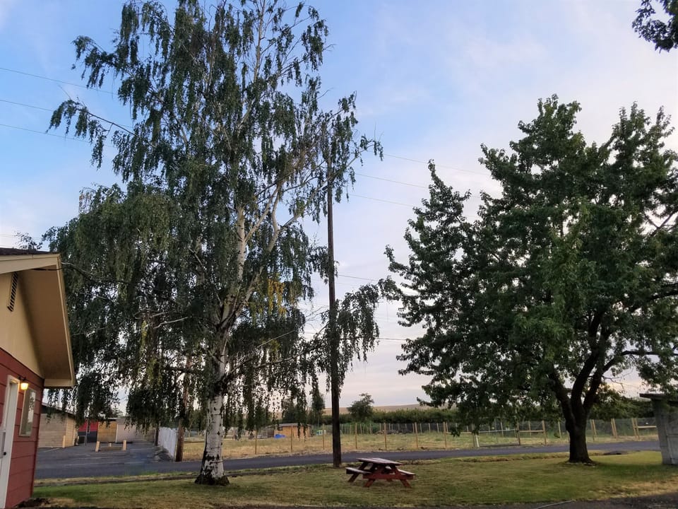 Land view from property