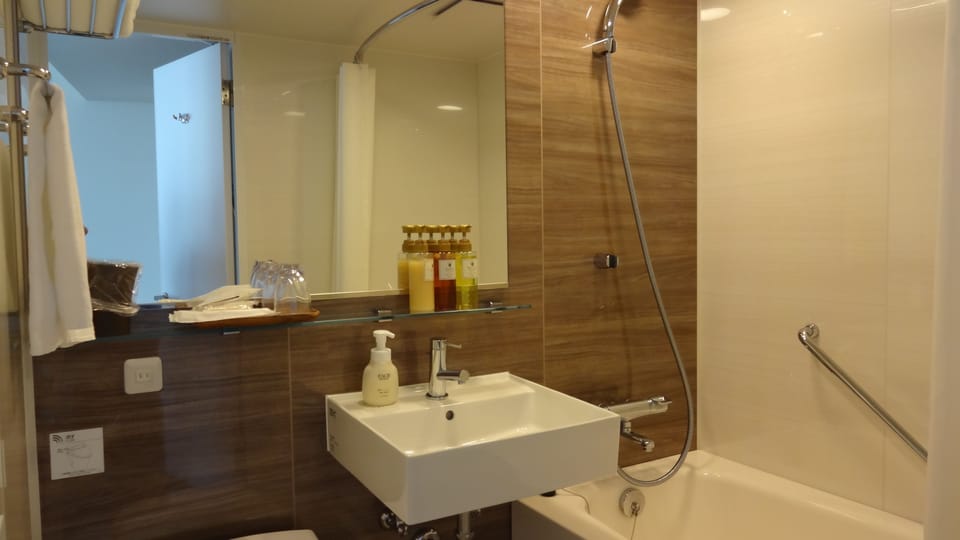 Premium Double Room, Non Smoking | Bathroom | Combined shower/tub, hair dryer, slippers, electronic bidet