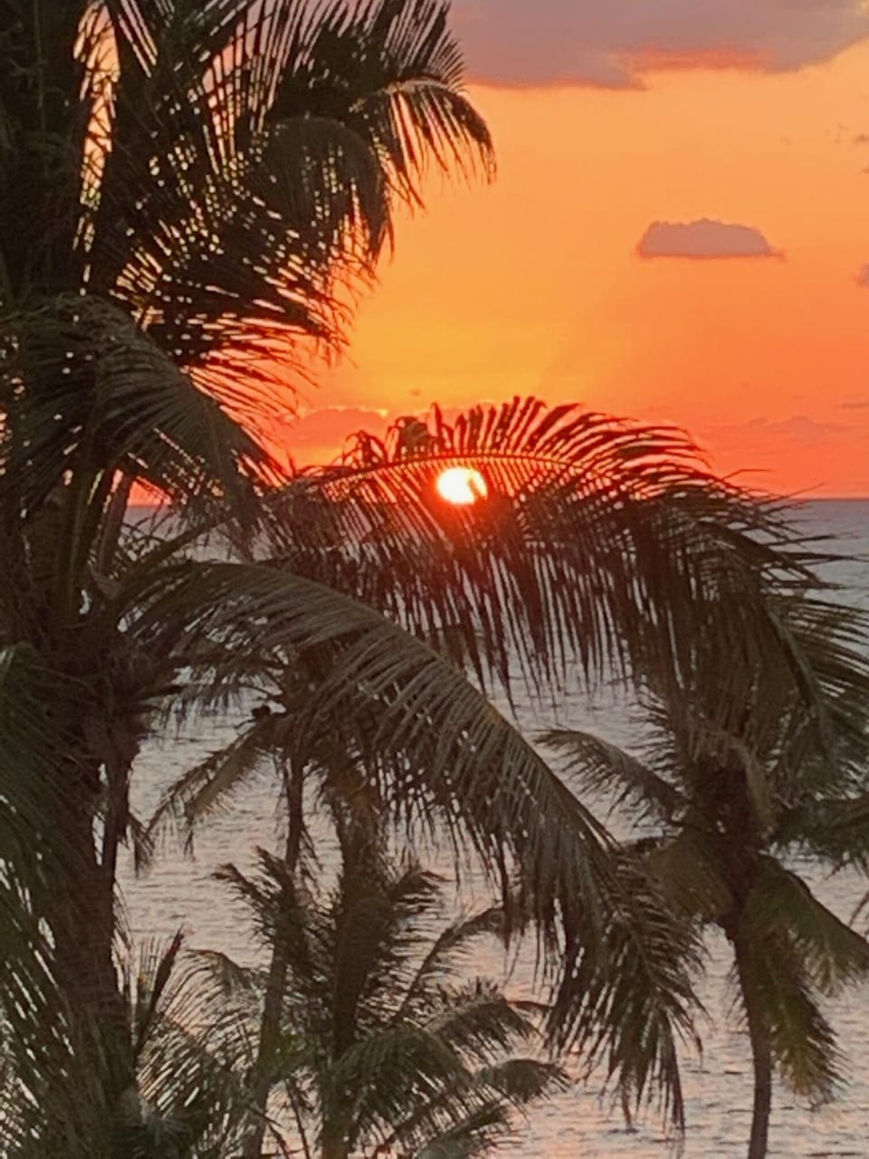 Sunrise View from Veranda