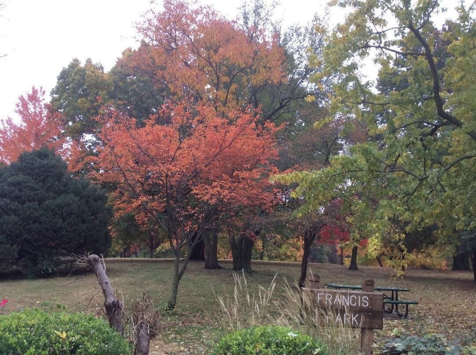"Jewel" of the neighborhood: Francis Park, in autumn