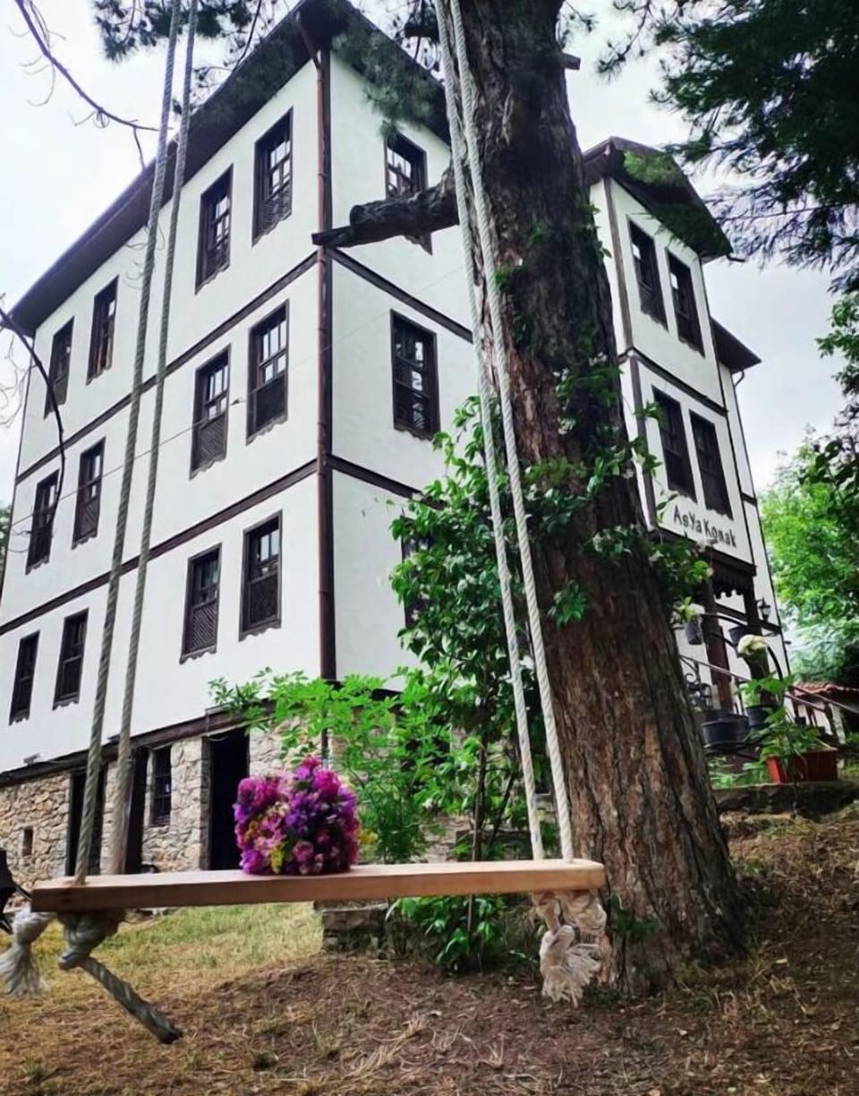 Asya Konak Hotel in Turkey