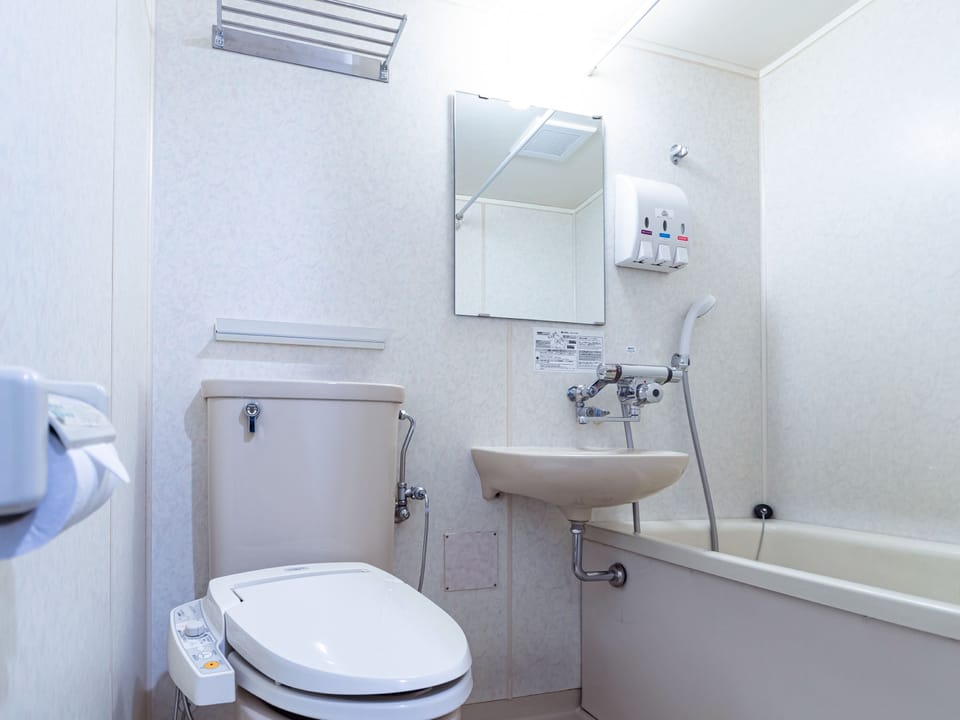 Combined shower/tub, free toiletries, hair dryer, slippers