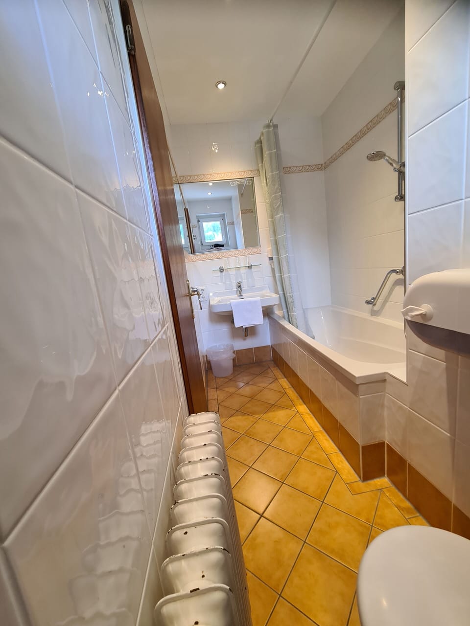Business Triple Room, Mountain View | Bathroom | Shower, hair dryer, towels, soap