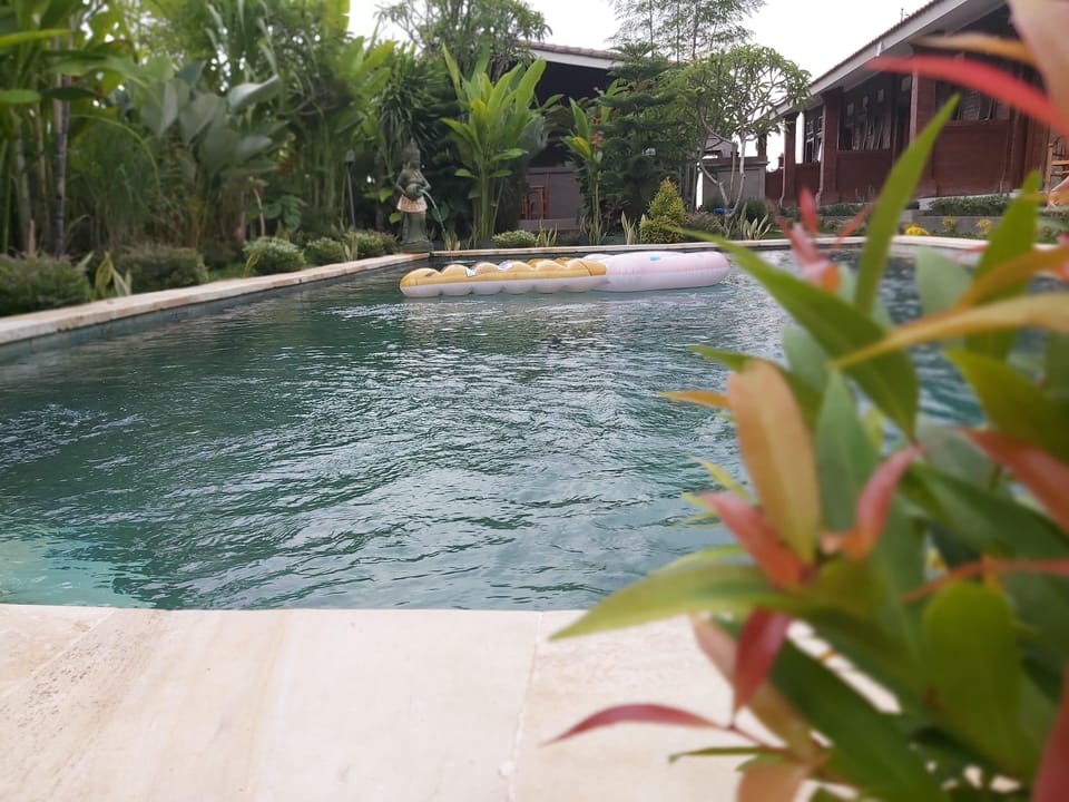 Outdoor pool, pool umbrellas, sun loungers