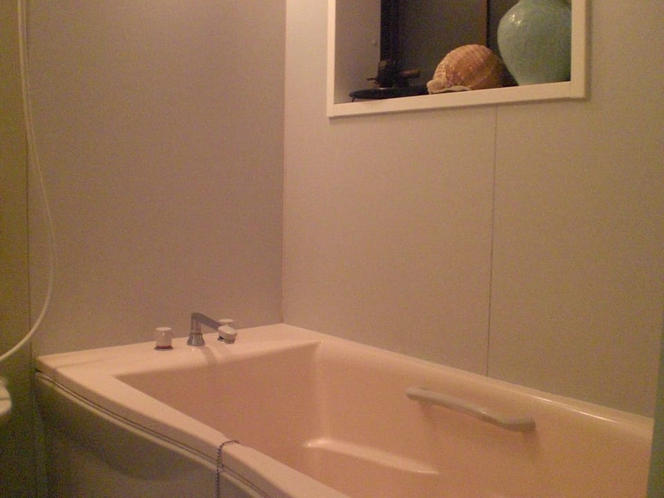 Slippers, soap, shampoo, toilet paper