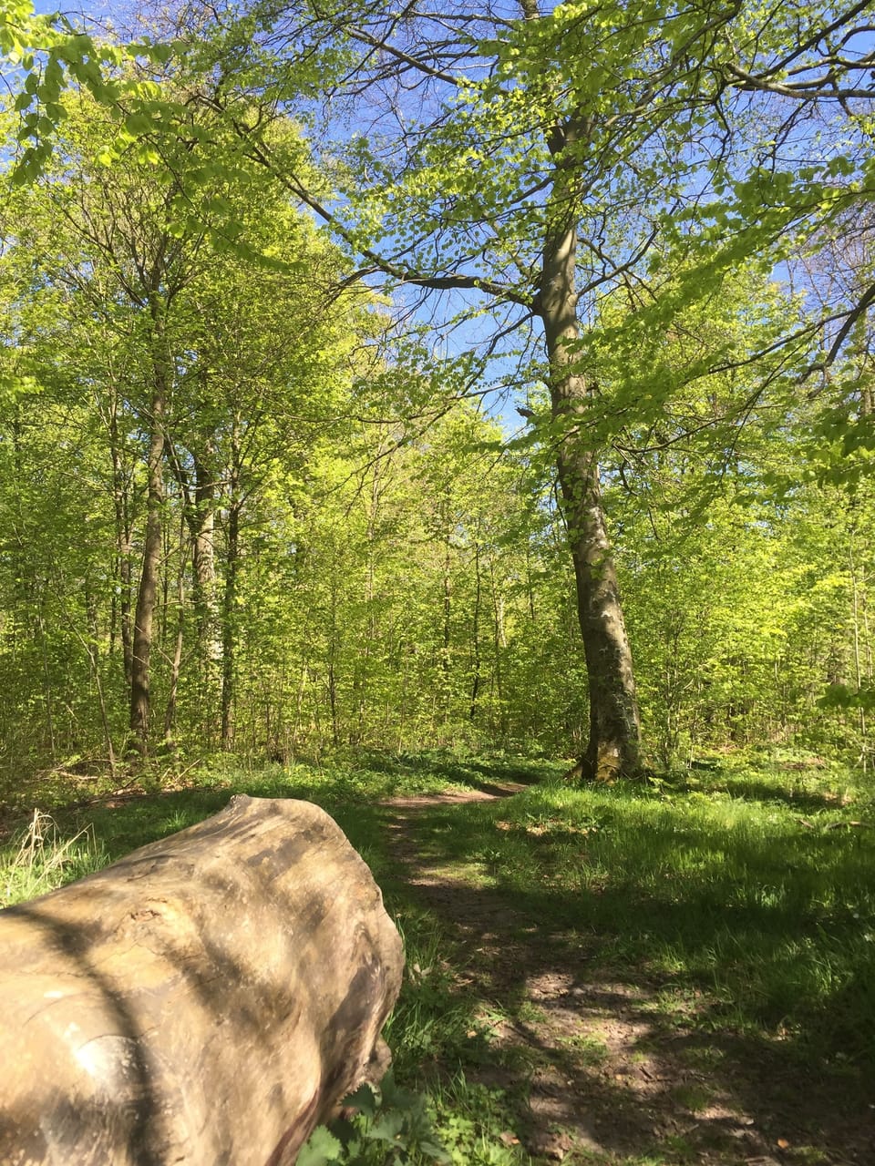 Hiking
