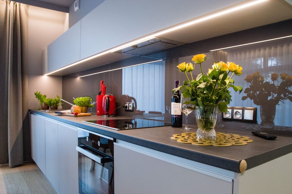 Junior Apartment | Private kitchenette | Mini-fridge, stovetop, electric kettle, griddle