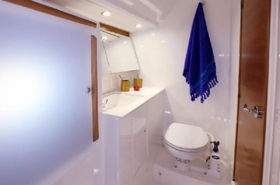 Room | Bathroom | Shower, towels, soap, toilet paper