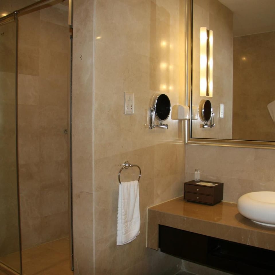 Separate tub and shower, free toiletries, hair dryer, bathrobes