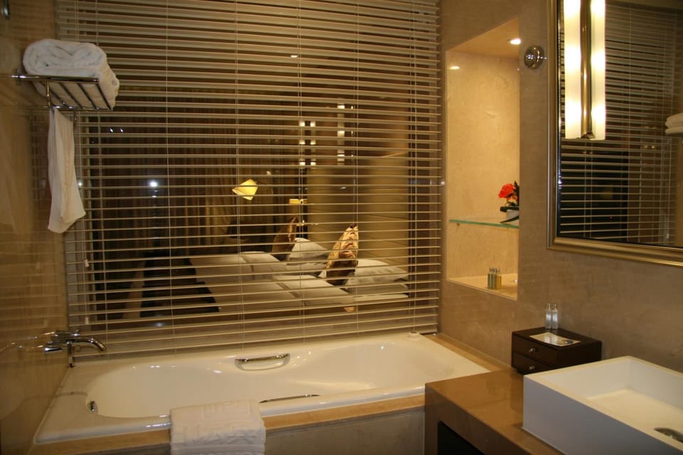 Separate tub and shower, free toiletries, hair dryer, bathrobes