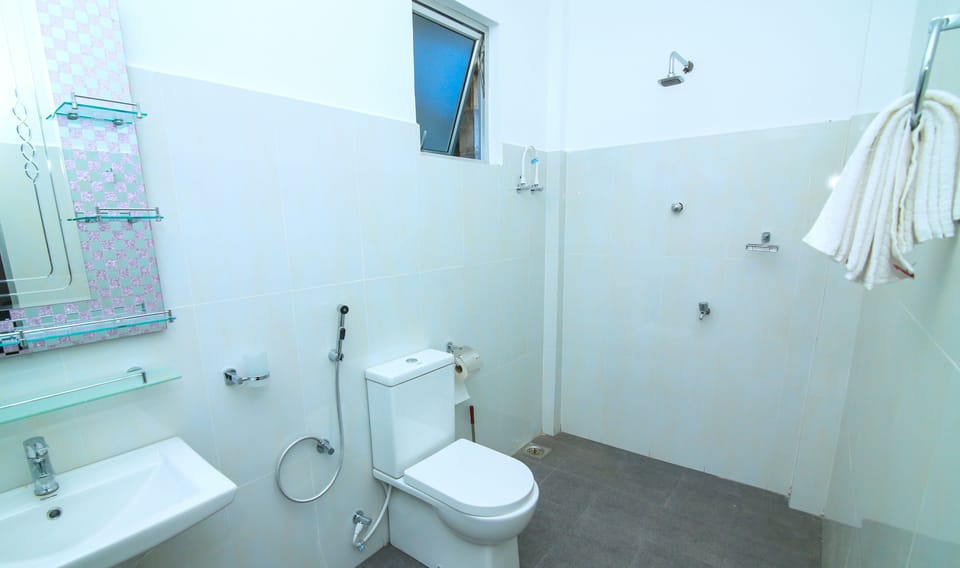 Shower, free toiletries, bidet, towels