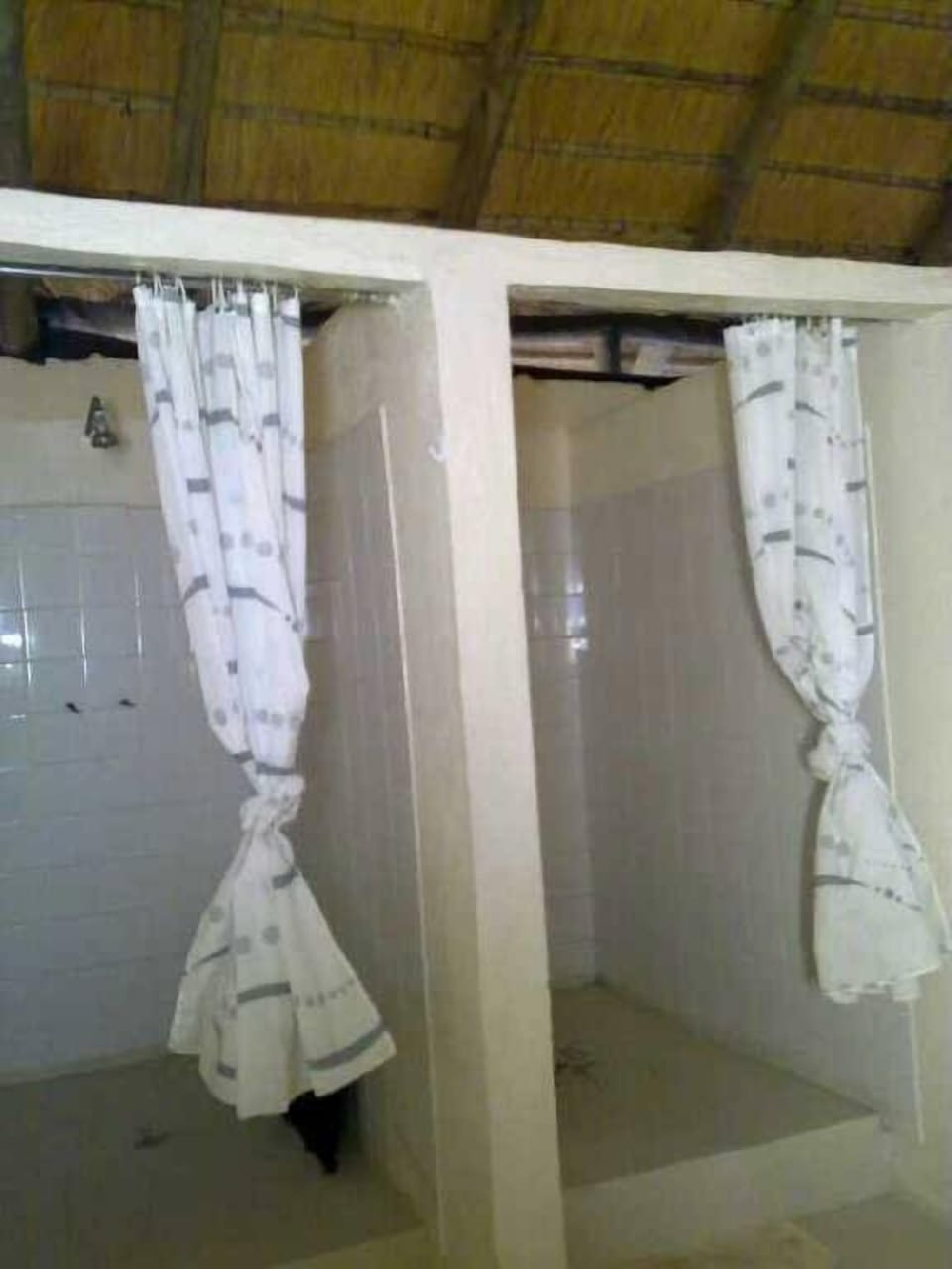 Economy Tent | Bathroom | Shower, rainfall showerhead, free toiletries, towels
