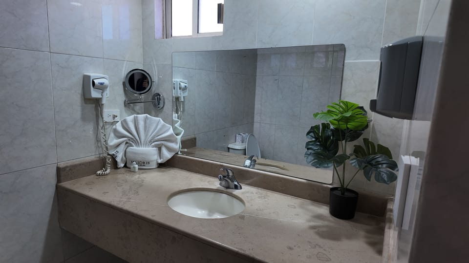 Executive Double Room | Bathroom | Shower, free toiletries, towels, toilet paper