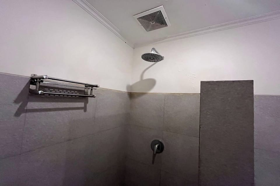 Deluxe Room | Bathroom | Shower, rainfall showerhead, free toiletries, towels