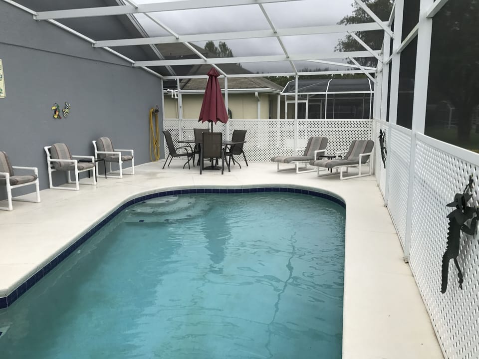 Outdoor pool, sun loungers