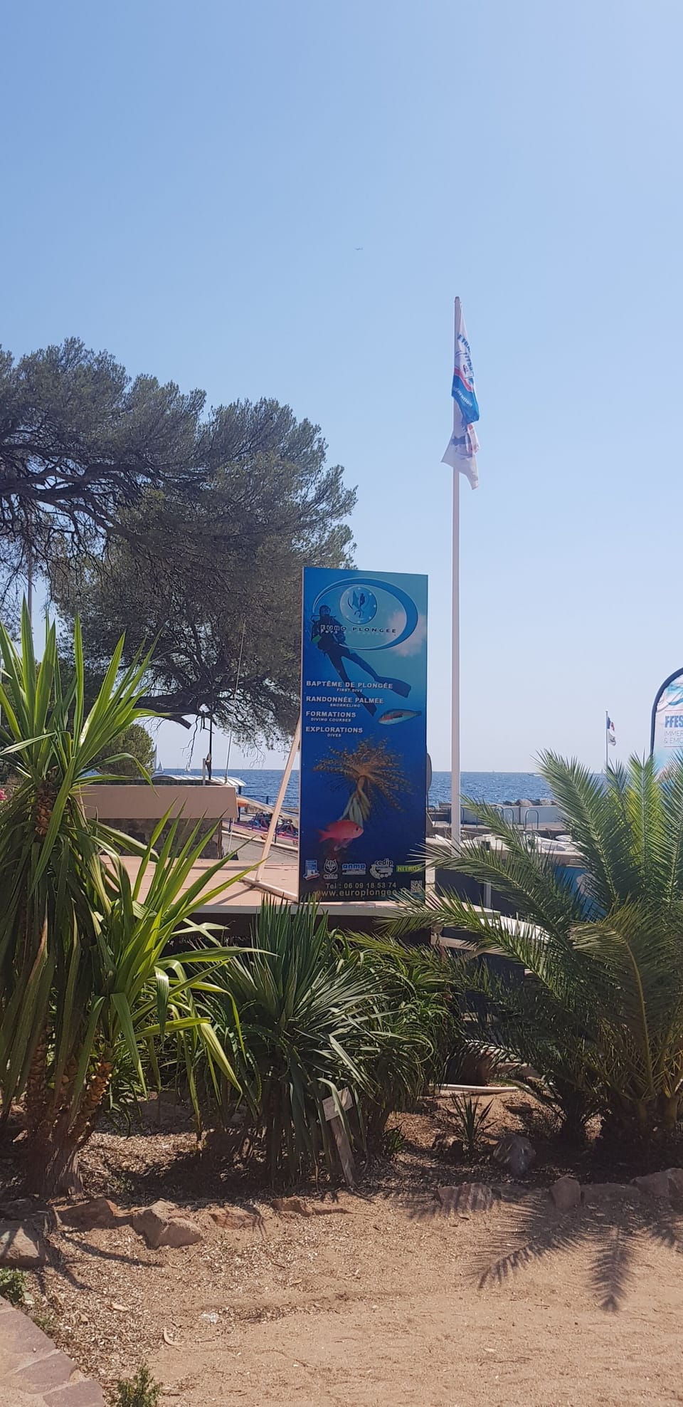 Diving center just at the harbour accross the street