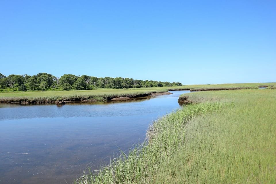 Access to the tidal rivers