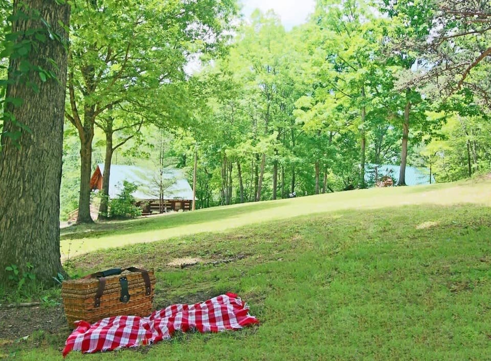 field picnic