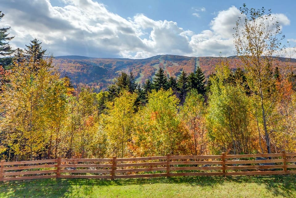 Enjoy the majestic of the trees and mountains.