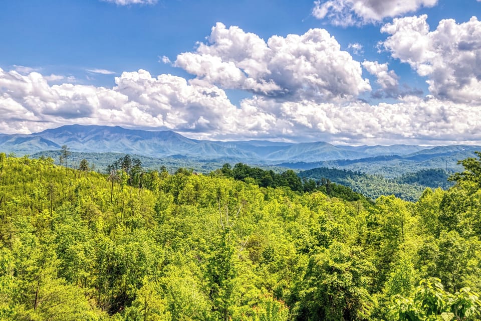 Beautiful mountain views!