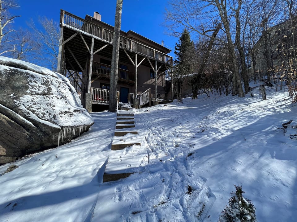 View of the house from the back yard