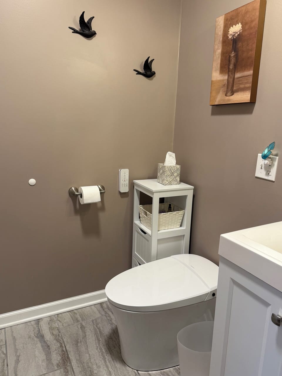 Toilet/ Bidet combo