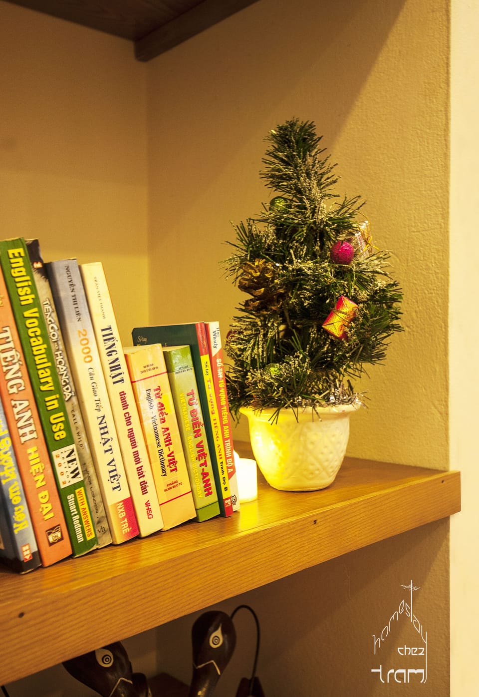 bookshelf in living room
