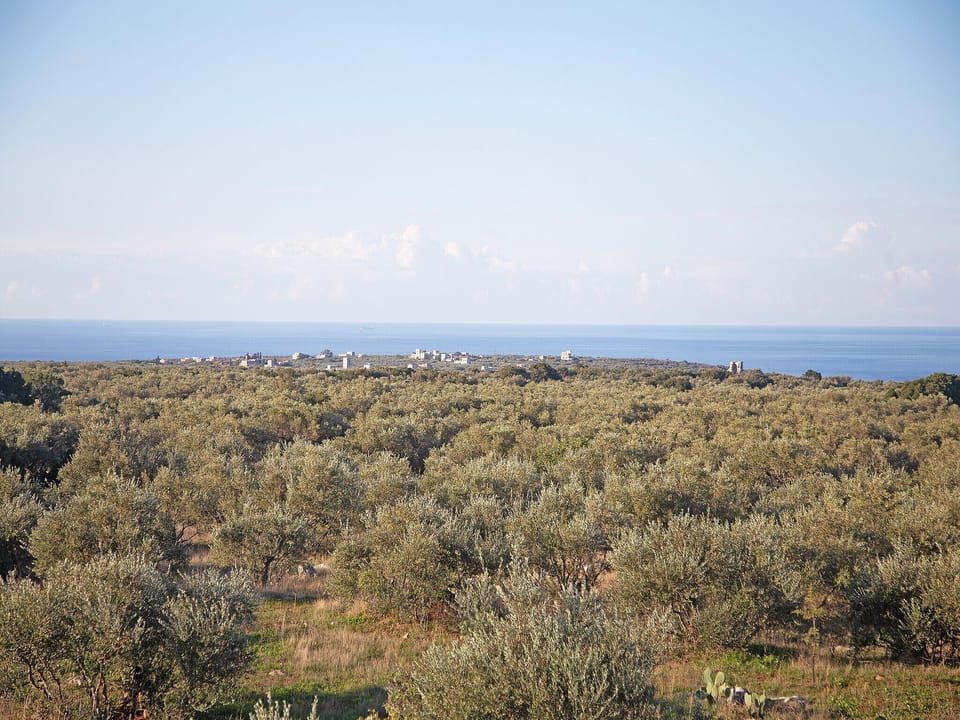 View from Maisonette for 8 guests,Pyrgos Dirou,Mani,Main facade of the property