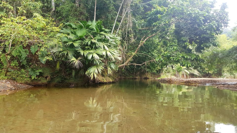 Ecotours