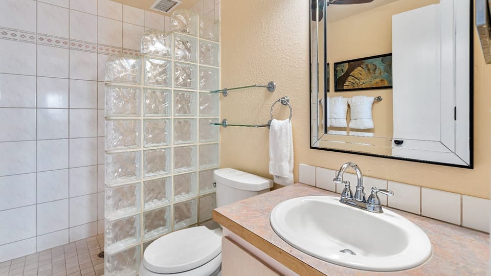 Primary ensuite bathroom with walk-in shower