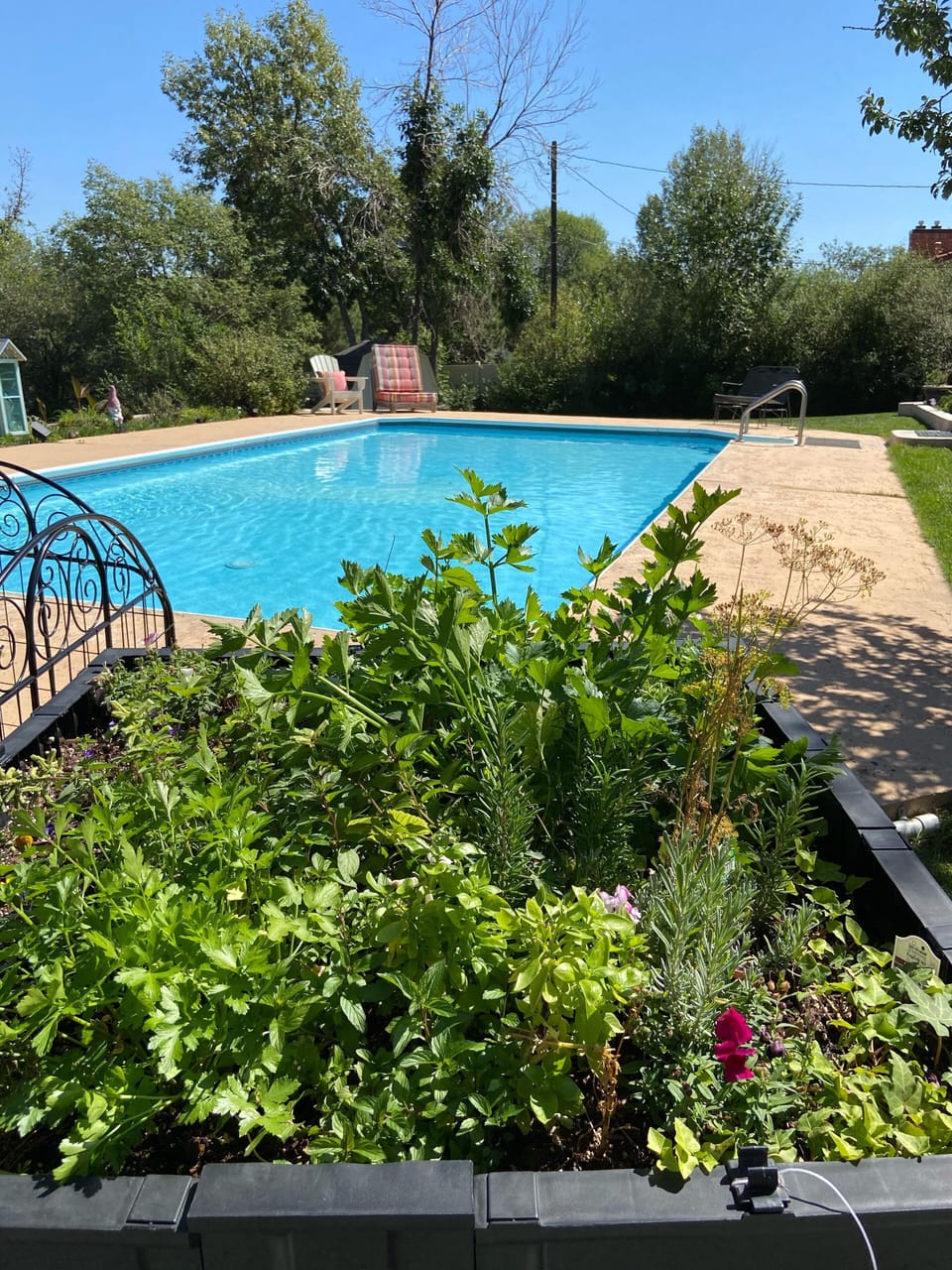 In Ground Heated Lap Pool 4 Feet Deep