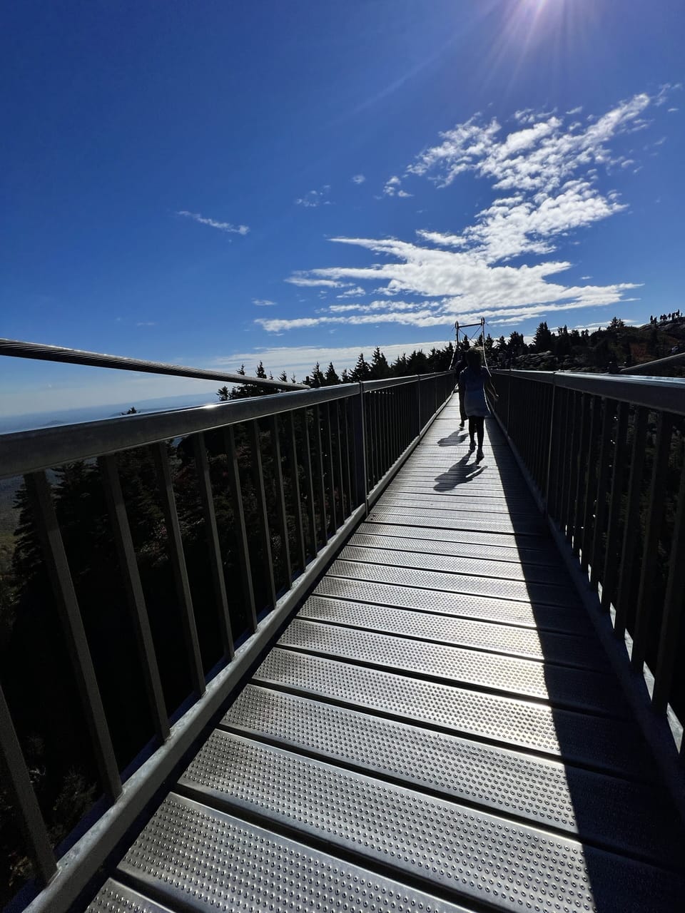 Grandfather Mountain
