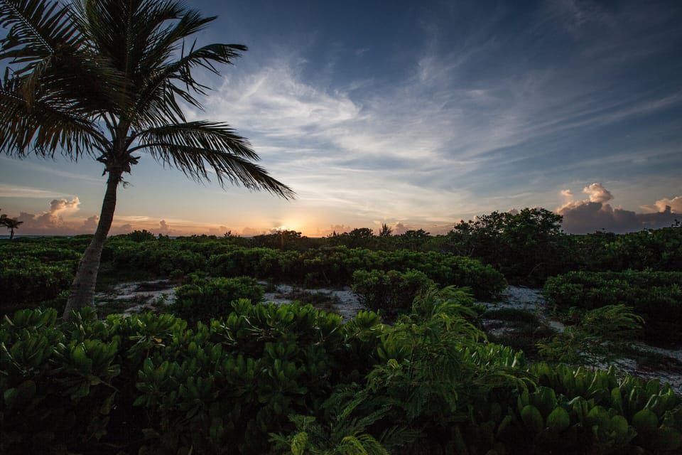sunrises