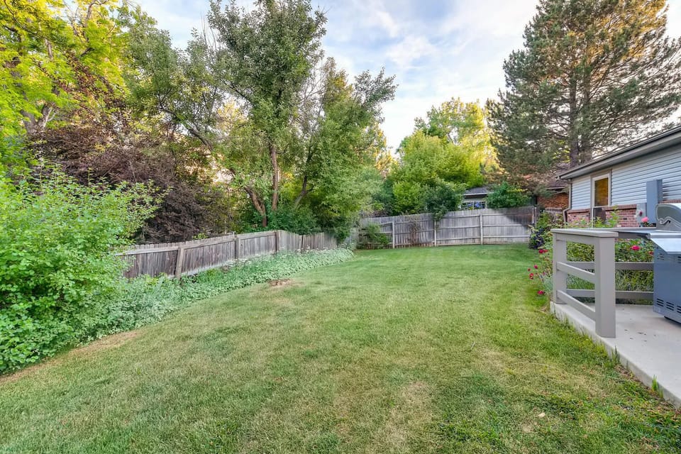 Lots of space for backyard sports and lawn games
