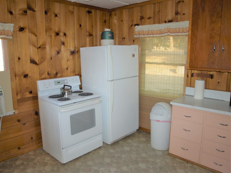 Stove and full sized refrigerator. Stove is electric. 