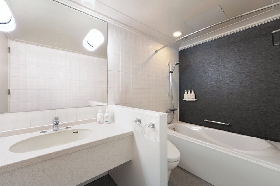 Combined shower/tub, free toiletries, hair dryer, slippers