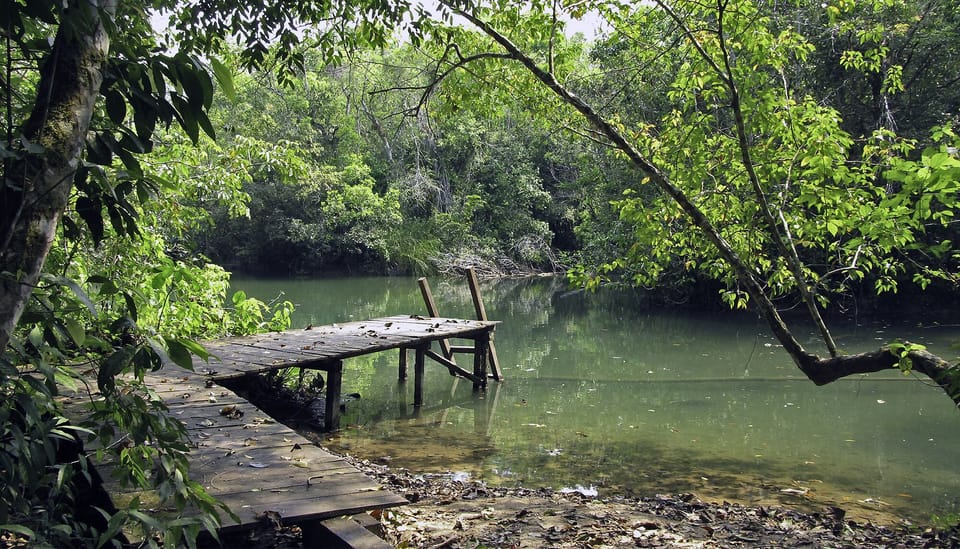 Dock