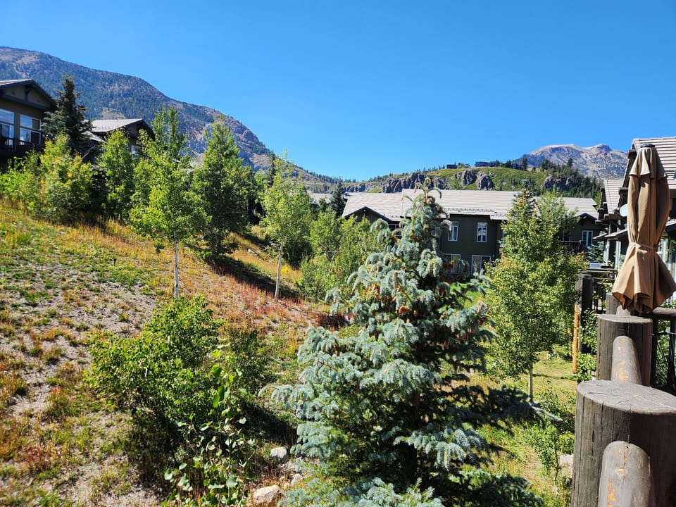 View